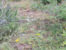 Full Size Image