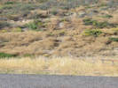 Full Size Image