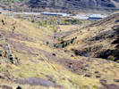Full Size Image