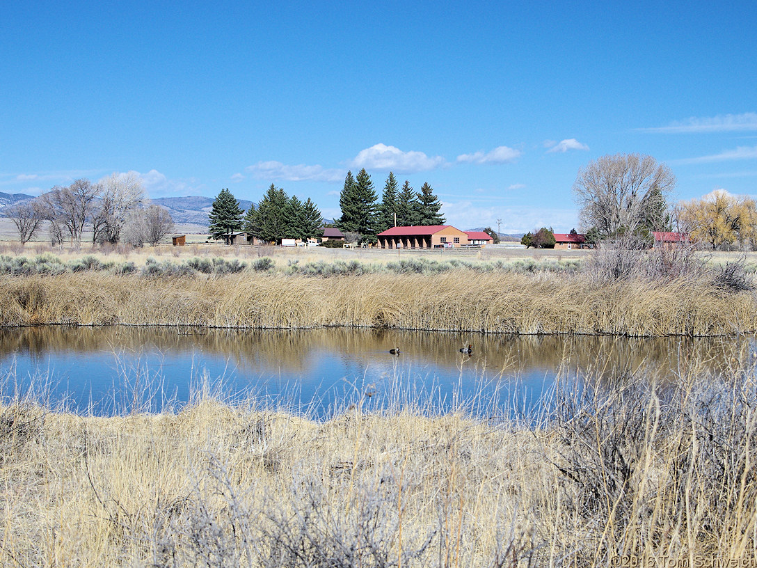 Monte Vista National Wildlife Refuge