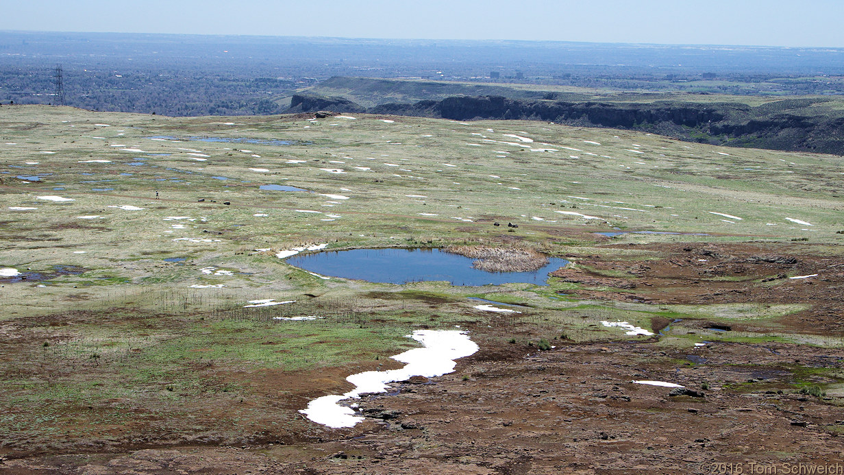 Artificial and ephemeral ponds on top of North Table Mountain.