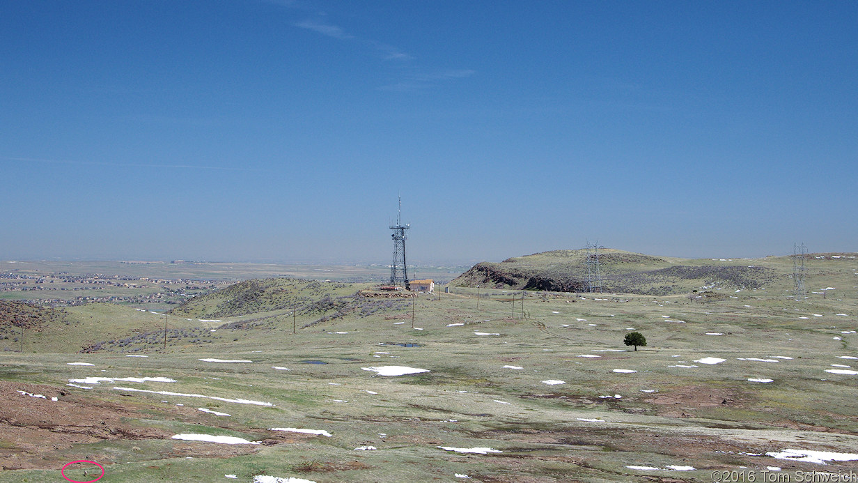 The territory between Lichen Peak and the radio tower.