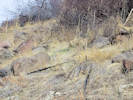 Full Size Image