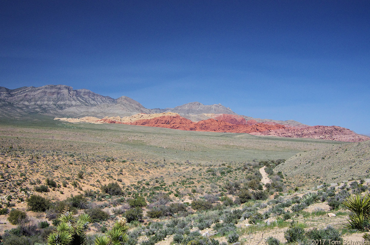 Nevada, Clark County, Red Rock Canyon National Conservation Area