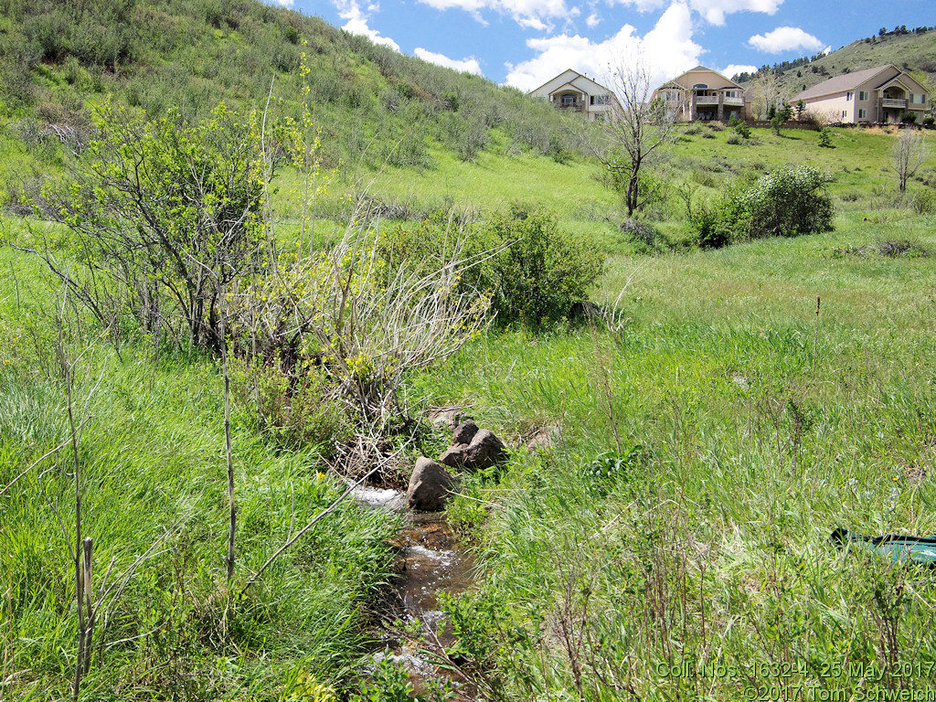 Colorado School of Mines Survey Field