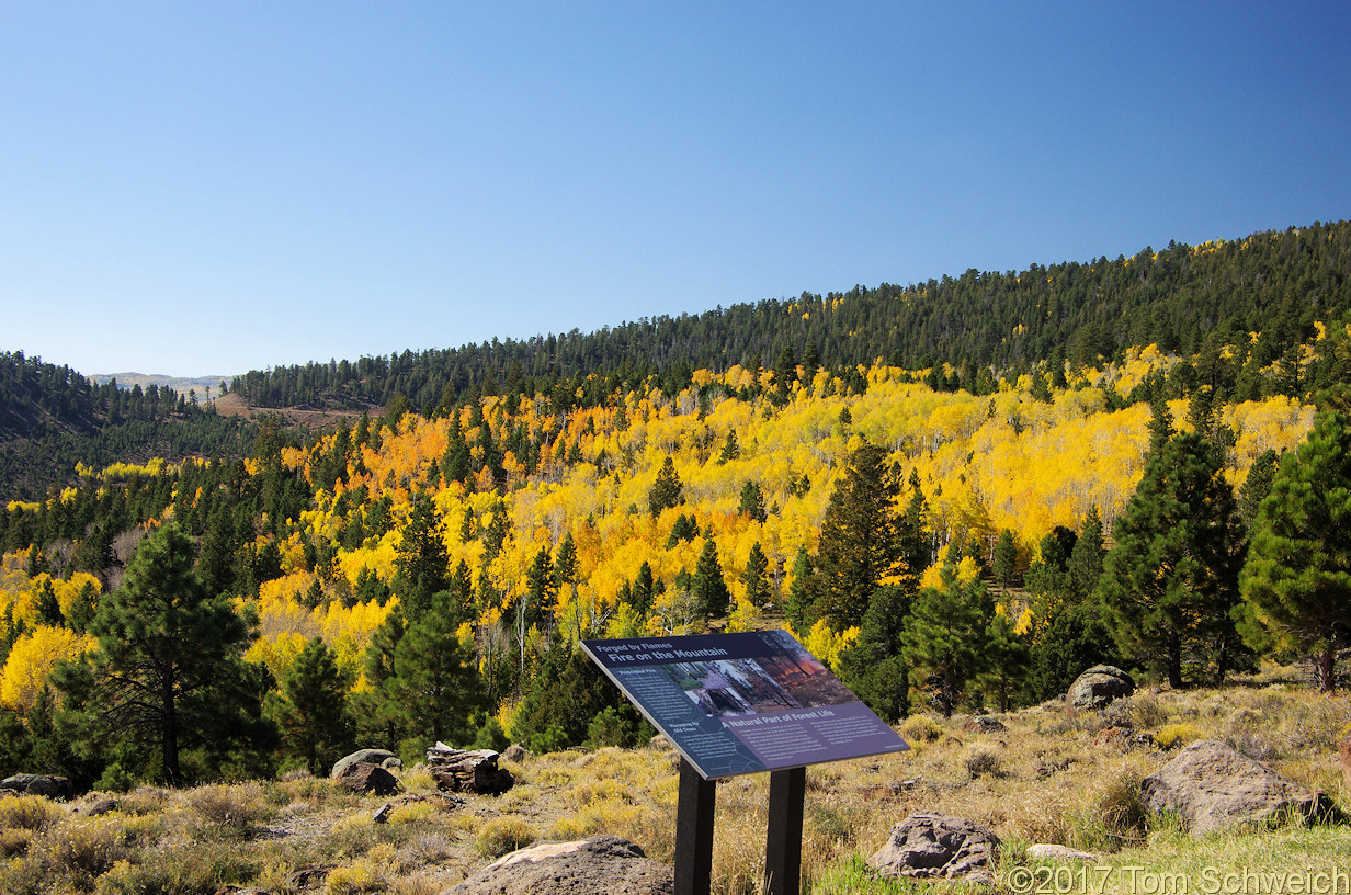 Utah, Garfield County, Larb Hollow Overlook