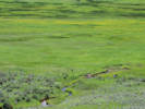 Full Size Image