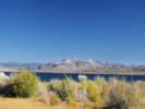 Full Size Image
