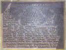 Full Size Image