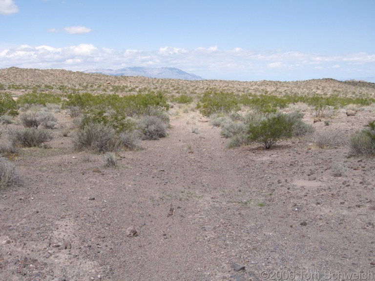 Silver Lake to Goodsprings, San Bernardino County, California