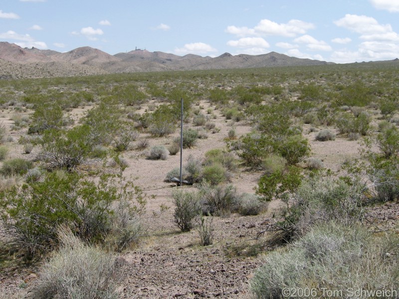 Silver Lake to Goodsprings, San Bernardino County, California