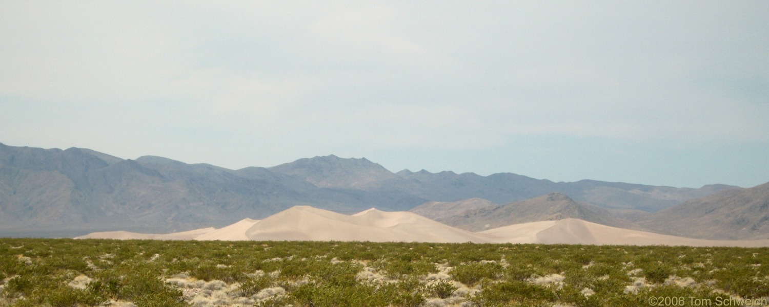 Bug Dune, Nye County, Nevada