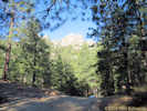 Full Size Image