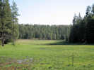Full Size Image