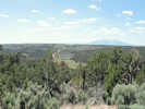 Full Size Image