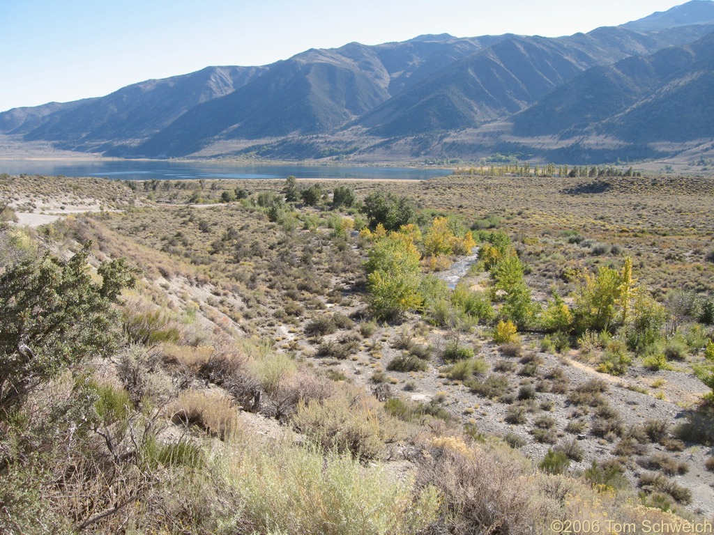 Mill Creek, Mono County, California