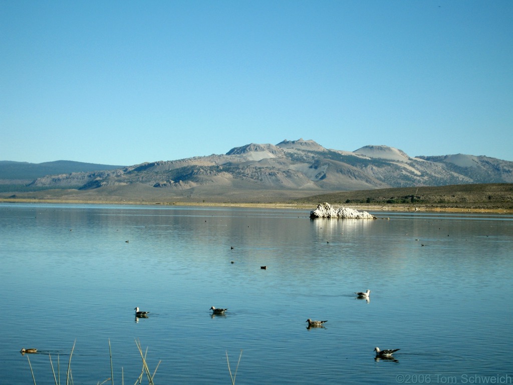 Mono Lake County Park, Mono County, California