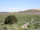 Full Size Image