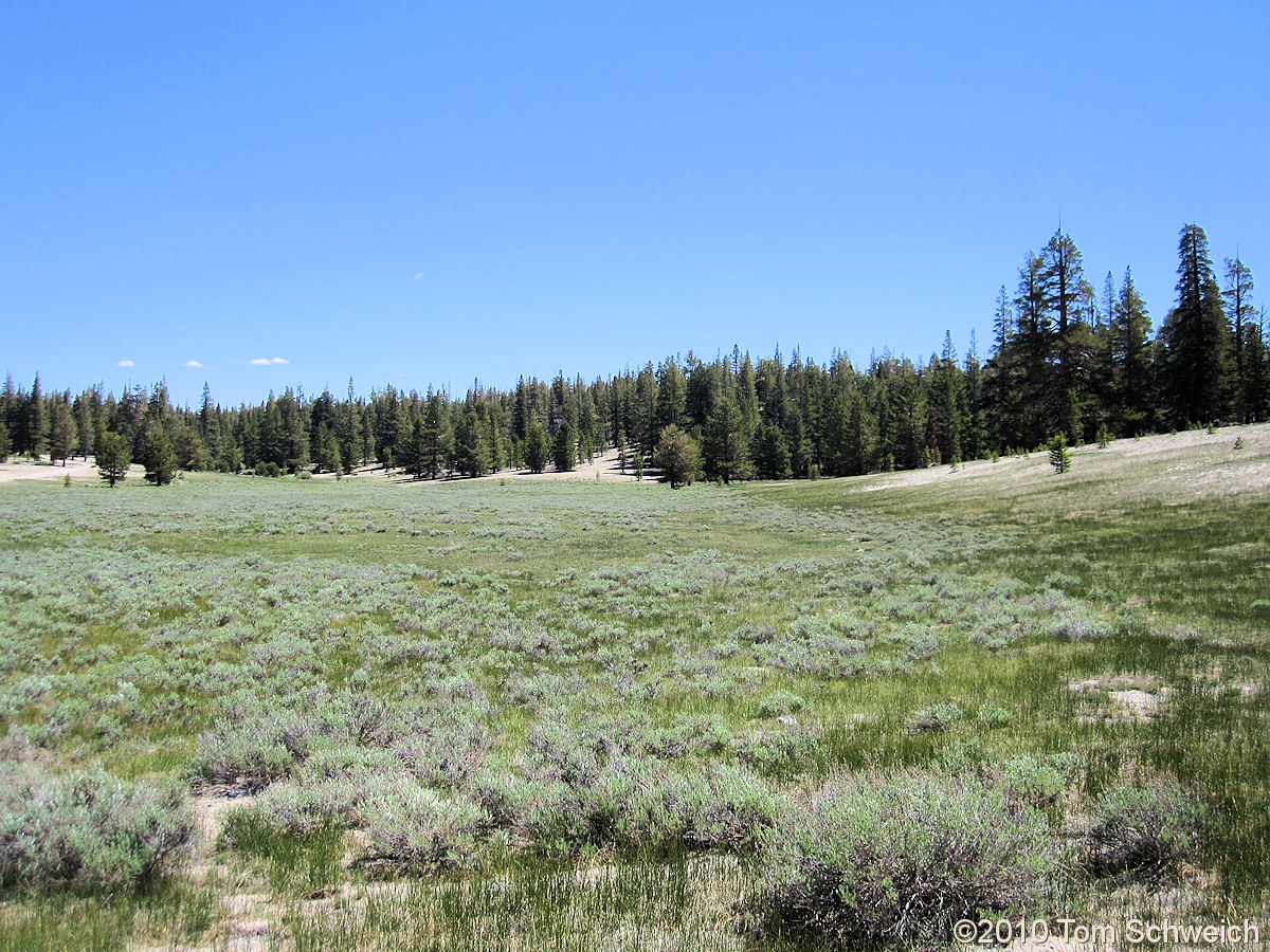 California, Mono County, Dry Creek