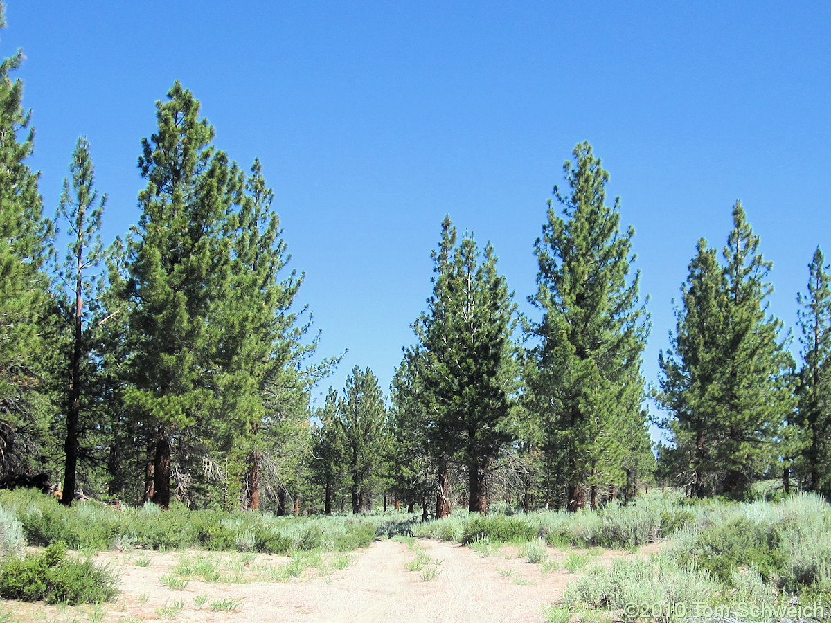California, Mono County, Adobe Valley