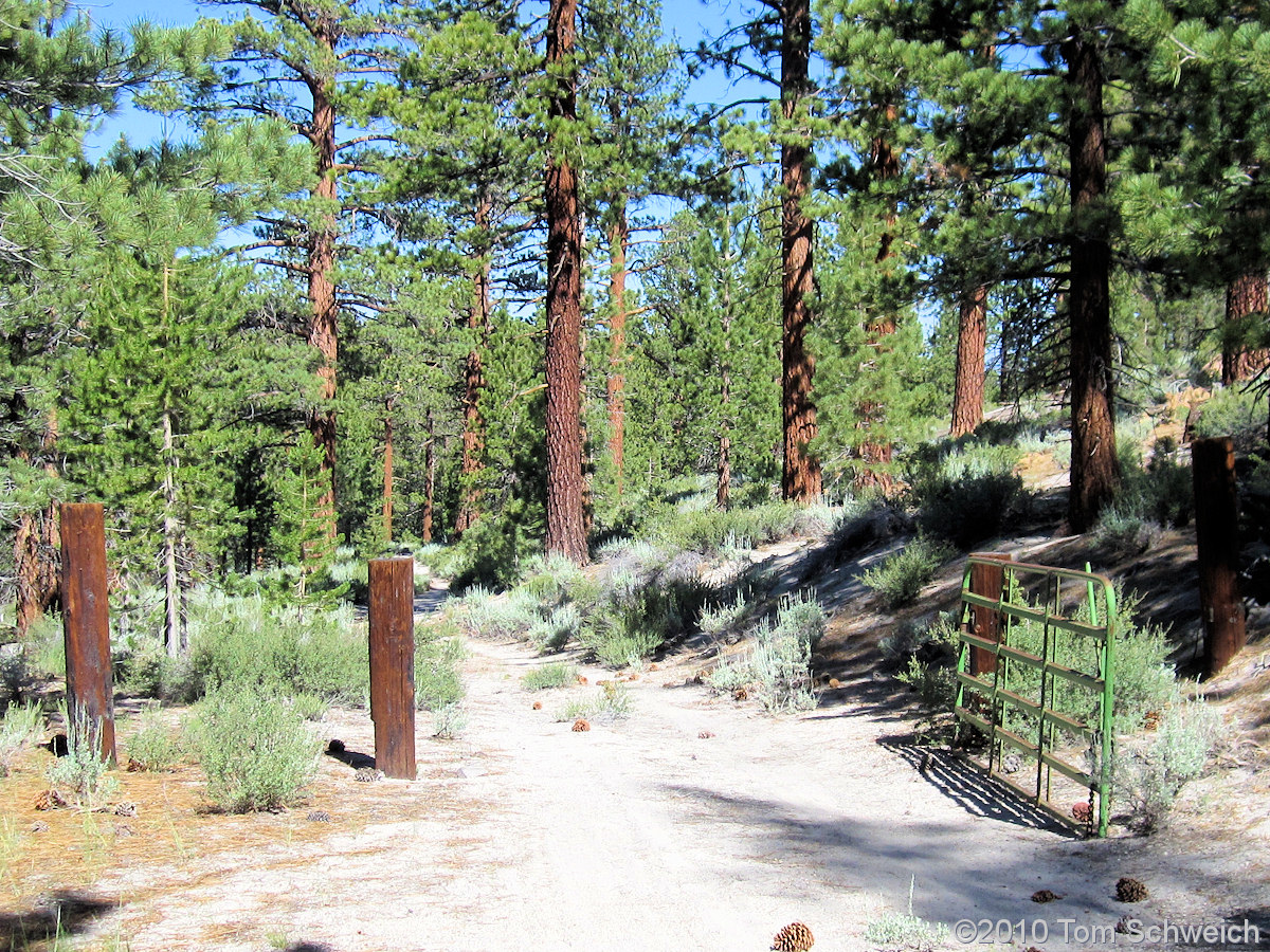 California, Mono County, Dry Creek