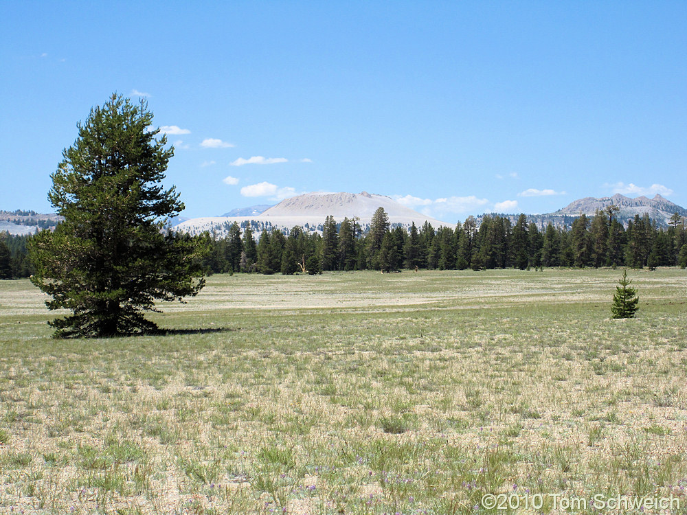 California, Mono County, Little Sand Flat