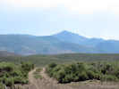 Full Size Image