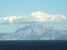 Full Size Image