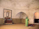 Full Size Image