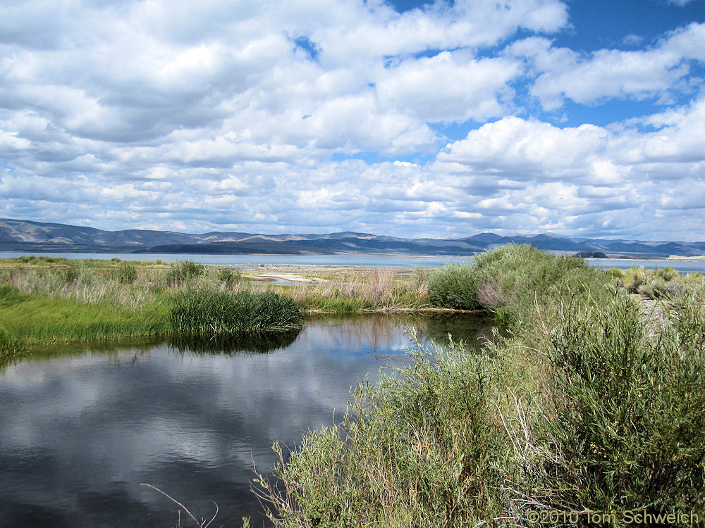 California, Mono County, Rush Creek.