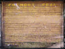 Full Size Image