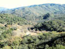 Full Size Image