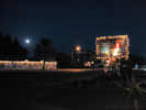 Full Size Image
