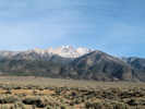 Full Size Image