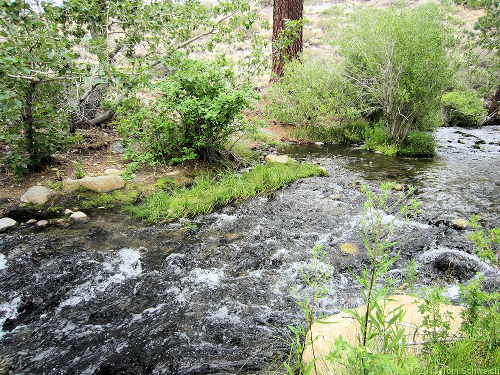 California, Mono County, Mill Creek