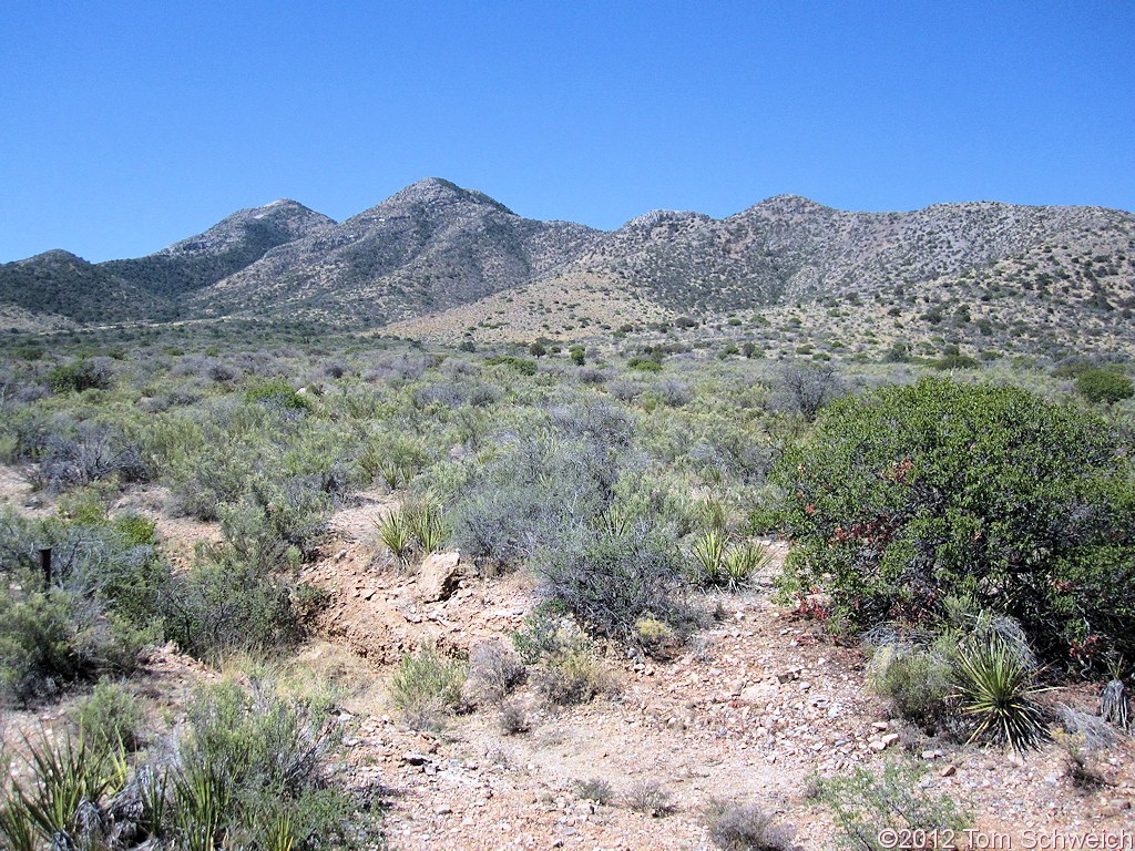 Arizona, Cochise County, Johnson