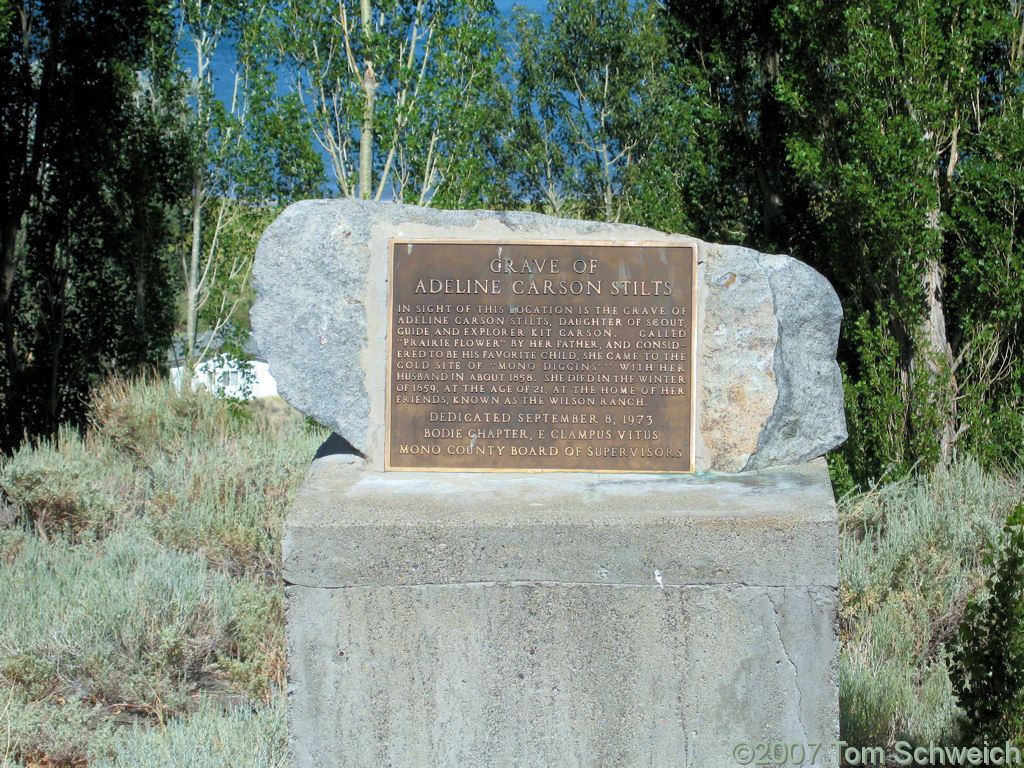 California, Mono County, Adeline Carson Stilts