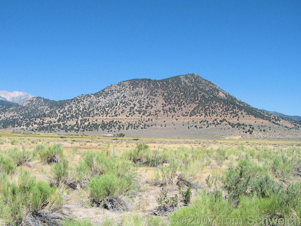 California, Mono County, Williams Butte