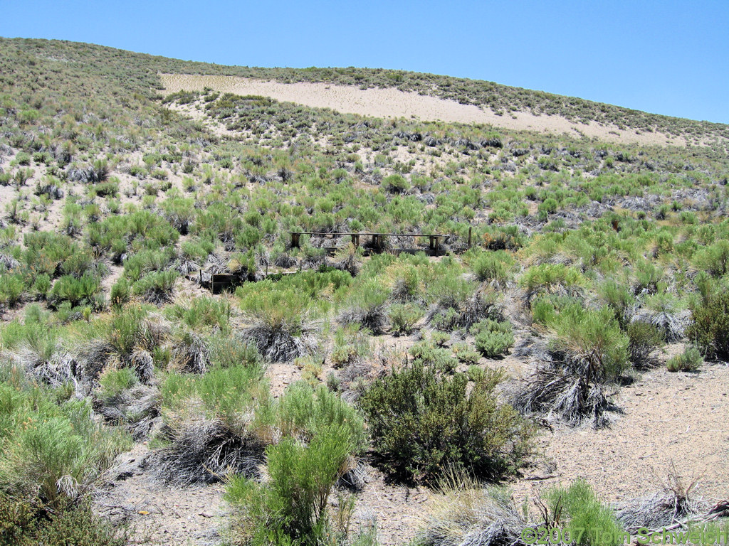 California, Mono County, Gaspipe Spring
