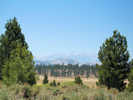 Full Size Image