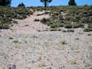 Full Size Image