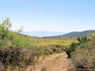 Full Size Image