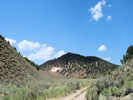 Full Size Image