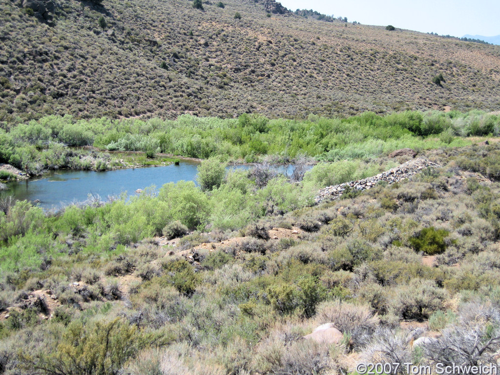 California, Mono County, Dog Town