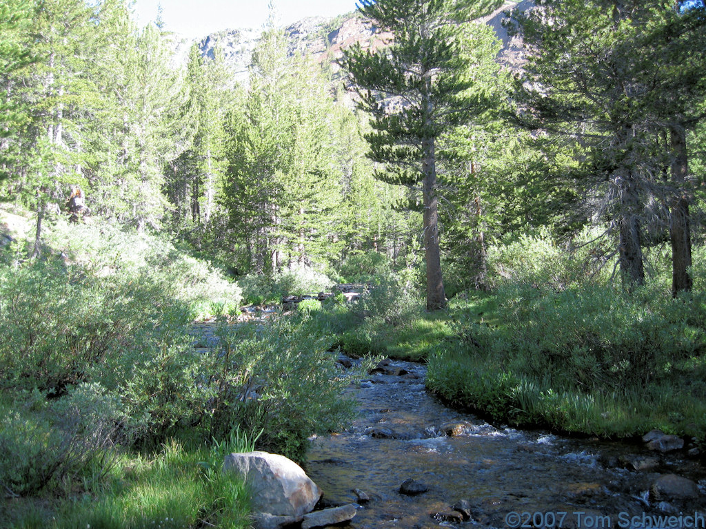 California, Mono County, Upper Lee Vining Canyon