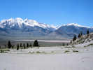 Full Size Image
