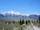 Full Size Image