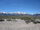 Full Size Image