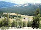 Full Size Image