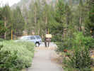 Full Size Image